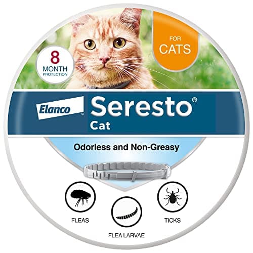 Seresto Cat Vet-Recommended Flea & Tick Treatment & Prevention Collar for Cats | 8 Months Protection - Image 1
