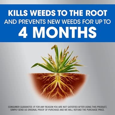 Roundup Dual Action Weed & Grass Killer Plus 4 Month Preventer with Sure Shot Wand, 1 gal. - Image 6