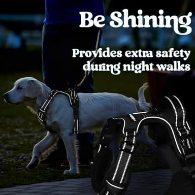 rabbitgoo Dog Harness Medium Sized, No Pull Pet Harness with 3 Buckles, Adjustable Soft Padded Vest with Control Handle, Walking Reflective Pet Vest for Medium Dogs, Black, M - Image 9