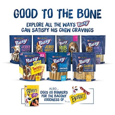 Purina Busy Bone Adult Dog Chew Bone Treats, Peanut Butter - 10 ct. Pouch - Image 7