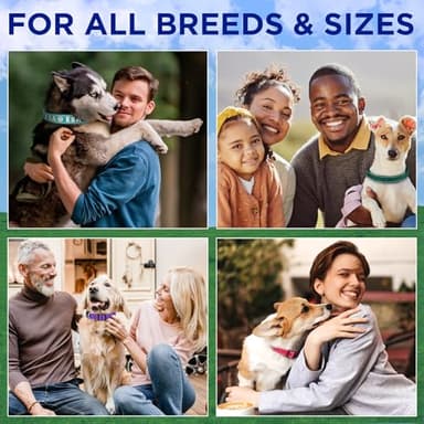 TECEUM Reflective Dog Collar – Teal – M – Extra Soft Padding – Basic Nylon Pet Collar – Quick Release Buckle – Fits Small, Medium and Large Dogs, Puppies, Cats – ESA & Service Dog Options - Image 6