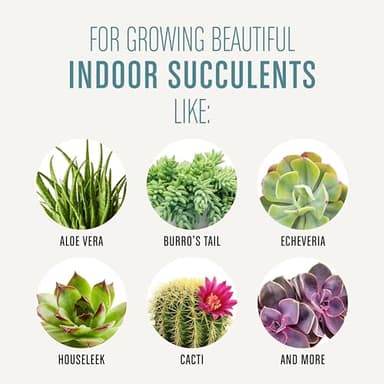 Miracle-Gro Succulent Potting Mix, For Indoor Succulents, Aloe Vera and More, Made with Miracle-Gro Plant Food, 4 qt - Image 4