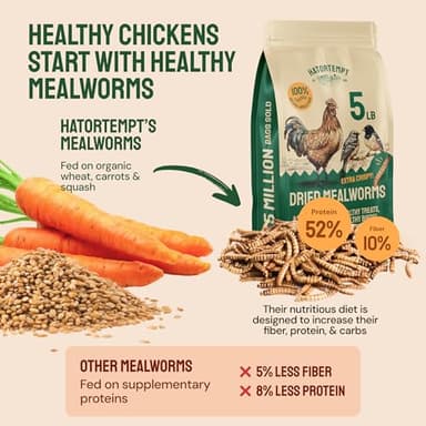 Hatortempt Chicken Feed Dried Mealworms - 5 Lb, Non-GMO & Organic - High-Protein Mealworms for Wild Birds & Ducks, Chicken Treats & Bird Food - Image 2