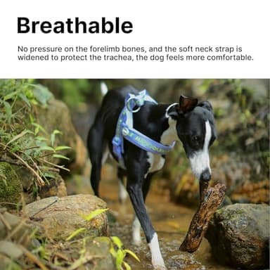 Maogoublue Escape-Proof Dog Harness with No-Choke Comfortable Lycra Fabric Vest and Quick-Release Buckle Easy Control Handle for Large Dogs, Easy for Training Walking (Purple, L) - Image 4