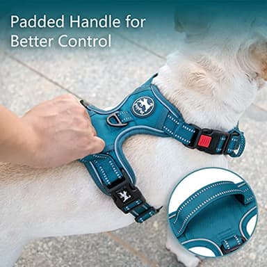 PoyPet No Pull Dog Harness, No Choke Reflective Dog Vest, Adjustable Pet Harnesses with Easy Control Padded Handle for Small Medium Large Dogs(Tumalo Teal,L) - Image 4