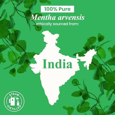 Handcraft Blends Peppermint Essential Oil in Glass Bottle – Huge 16 Fl Oz – 100% Pure and Natural – Premium Grade Oil for Diffuser and Aromatherapy, Skin, Massage, Candle and Soap Making Fragrance - Image 7