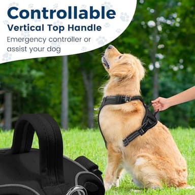 Funfox Dog Harness No Pull, Adjustable Pet Vest Harness, Super Soft Material with Vertical Handle Easy Control, Reflective Night Walking, 2 Leash Clips for Medium Sized Dogs, Black, M - Image 6