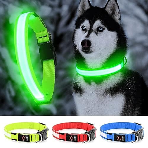 LED Dog Collar - Light Up, Waterproof, Adjustable Flashing, Rechargeable Visibility & Safety for Dogs (Green, Large) - Image 1