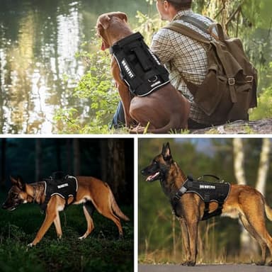 WINSEE Mesh Dog Harness with 10 Pet Patches for Medium Service Dog in Training, Breathable Tactical Molle Vest with Double Handle, Reflective Military Pet Vest for Walking Hiking - Image 8