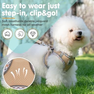 TomteNisse Dog Harness and Leash Set, No Pull Pet Harness for Small Dogs Easy Walking,Soft Breathable Small Dog Harness,Adjustable Reflective Step in Vest Harness for Puppy,Kitten, Cats - Image 2