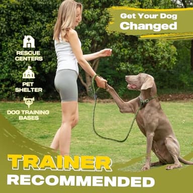 Fida Durable Slip Lead, 6 FT x 1/2" Heavy Duty Loop Leash, Comfortable Strong Rope for Large, Medium Dogs, No Pull Pet Training with Highly Reflective, Green - Image 4