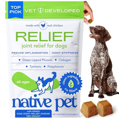 Native Pet Pain Relief for Dogs - Collagen for Dogs Promotes Joint Health, Reduce Inflammation & Stiffness - Senior Pup Joint Supplement - Natural Pain Reliever for Active & Aging Pets - 120 Chews - Image 1