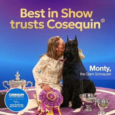 Nutramax Cosequin for Dogs Joint Health Supplement, Contains Glucosamine for Dogs, Plus Chondroitin and MSM, Supports Healthy Joints, For All Breeds and Sizes, Chewable Tablets, 132 Count - Image 6