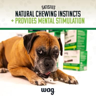 Amazon Brand - Wag Dental Chews - Green Dental Brush for Dogs, Large, Unflavored, 24 Count (Pack of 1) - Image 6
