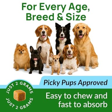 PAWFECTCHEW Green Grass Dog Chews w/Probiotics - Prevent Urine Burning Grass - Dog Pee Grass Spot Saver - Dog Urine Neutralizer for Lawn Treats, UT & Gut Health for Dogs, Lawn Burn from Dog Urine - Image 7