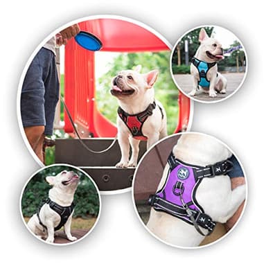PoyPet 2019 Upgraded No Pull Dog Harness with 4 Snap Buckles, Reflective with Front & Back 2 Leash Hooks and an Easy Control Handle [NO Need Go Over Dog’s Head](Purple,L) - Image 5