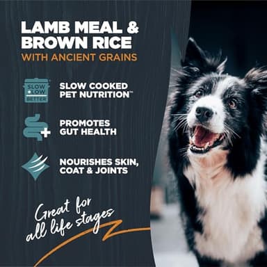 Blackwood Sensitive Skin & Stomach Dry Dog Food, Lamb Meal & Brown Rice with Ancient Grains, 10 Pound Bag with Prebiotics & Probiotics to Promote Gut Health - Image 3