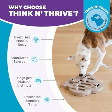 Outward Hound by Nina Ottosson Dog Hide N' Slide Treat Puzzle Enrichment Toy, Level 2 Intermediate, Tan, Composite - Image 6