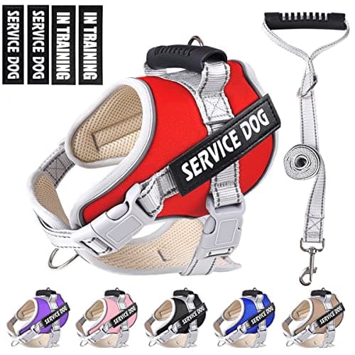 Dogmify Service Dog Vest,No Pull in Training Service Dog Harness and 5FT Dog Leash Set, Adjustable 3M Reflective Nylon Pet Dog Vest with Handle,Easy Control for Small Medium Large Dogs(L,Red) - Image 1