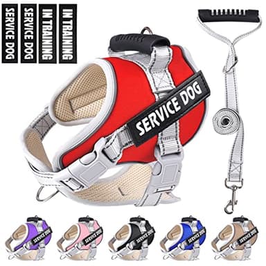 Dogmify Service Dog Vest,No Pull in Training Service Dog Harness and 5FT Dog Leash Set, Adjustable 3M Reflective Nylon Pet Dog Vest with Handle,Easy Control for Small Medium Large Dogs(L,Red) - Image 1