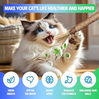 GBSYU Cat Toys Chew Rope & Silvervine Sticks for Bored Indoor Adult Cats, 6Pcs Interactive Catnip Toys for Cats with Refillable Natural Catnip Bag for Teeth Cleaning - Image 5