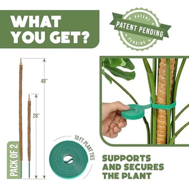 2 Pack 48" and 28'' Bendable Moss Pole Monstera Plant Support for Climbing Indoor Plants - Stakes for Potted Climbers - Tall Sticks Indoor Trellis for Houseplants - Accessories for Monstera Pot - Image 2