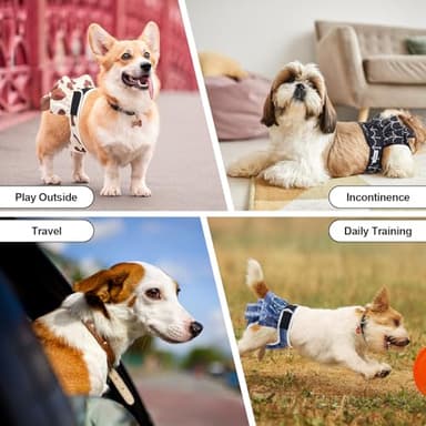Reusable Dog Diapers Female Medium Washable, Premium Doggie Diaper for Dogs, Pack of 3, Highly Absorbent Dog Diaper for Heat, Incontinence and Puppy Training(M) - Image 7