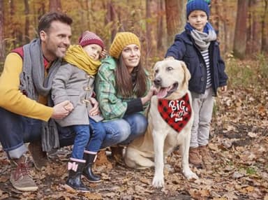 Dog Bandana, Big Brother Dog Bandana, Dogs Muffler Classical White Printing, Doggy Muffler Pet Scarf, Pet Baby Announcement Plaid Scarf Gender Reveal Accessories, for Small Medium Large 03 - Image 4