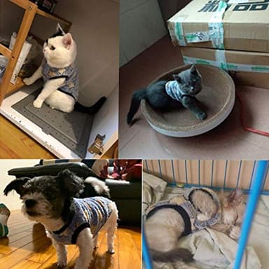 ANIAC Bunny Clothes for Rabbits Warm Kitten Vest Fleece XXXS Dog Shirt Cozy T-Shirt for Bunny Guinea Pig Ferret Puppy Mini Dog and Small Animals (XS, Navy Blue with Star) - Image 5