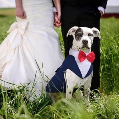PUMYPOREITY Tuxedo for Large Dogs, Tuxedo and Bandana Set, Formal Wedding Attire, Gentleman Attire With Bowtie for Valentines Christmas Birthday, 2 Pieces/Pack, L, Blue - Image 5