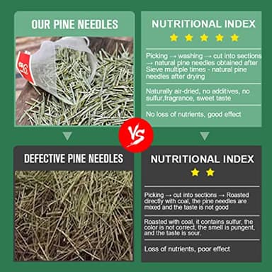 Pine Needle Tea Bags - Organic Dried Pine Needle Herbal Tea for Immune Support & Antioxidant, Caffeine Free, Natural Suramin, 20 Tea bags - Image 8