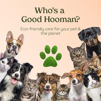 PAWFUME Dog Perfume Spray Long Lasting Scent for Grooming, Show Dog, 1-Pack – Keep Your Pup Fresh All Day – Hypoallergenic, Alcohol-Free, Detangling & Moisturizing – Salon-Quality Dog Cologne Spray - Image 9