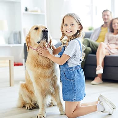 Dog Collar Cuban Diamond Dog Chain 4 mm Width Pet Cuban Chain for for Small Medium Large Dogs - Image 7