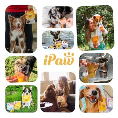 iPaw Chicken Tots Dog Treats for Puppy Training, All Natural Human Grade Dog Treat, Hypoallergenic, Easy to Digest (Chicken Tots) - Image 9