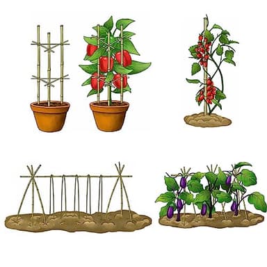 Cambaverd Bamboo Stakes 4 Feet Thicker Garden Stakes with Garden Twine, Diameter of 0.55in Natural Plant Stakes Bamboo Poles for Climbing Plants Support Tomato Cage - 20 Pack Bamboo Sticks for Plants - Image 7