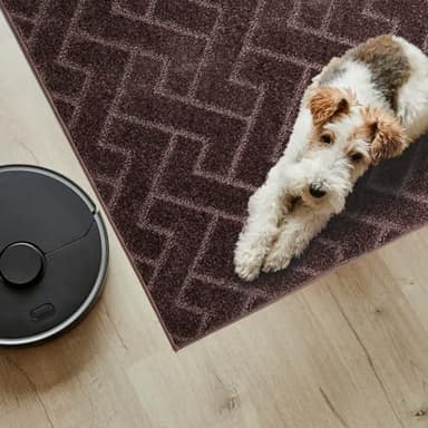 PURRUGS Easy Care Area Rug 4.5ft x 7ft, Non-Slip Machine Washable Entry Rug, Dog Door Mat, Stain Resistant Accent Rug for Hallway, Bedroom, Living Room and Mudroom, Brown - Image 3