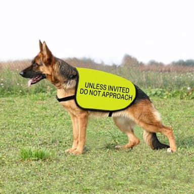 Nervous Dog Jacket Vest Unless Invited Do Not Approach Dog Slogan Vest Social Distancing Gift (Unless Invited-Large) - Image 6