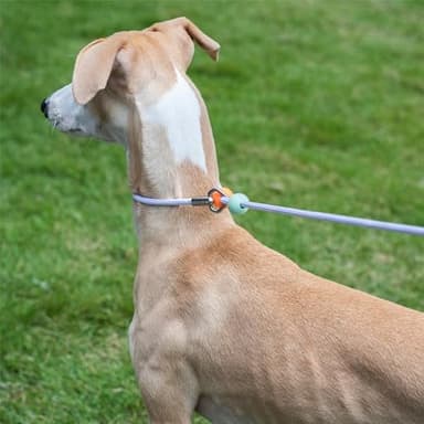 Slip Lead Dog Leash with Stopper, No-Pull Training Leash and Collar for Small Medium Dogs 5 FT - Image 8