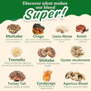 10 Mushroom Matcha Powder with Lion's Mane, Reishi, Mushroom Polysaccharides & More, 3500mg(10:1) Extract, Japanese Ceremonial Matcha for Focus, Energy, Immunity Boost, Memory - 30 Serving - Image 2