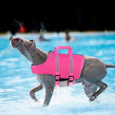 Queenmore Large Dog Life Jacket, Floating Vest for Swimming and Boating, Lightweight Adjustable Reflective Lifesaver With Back Zip, Rescue Handle, Leash Hook (Fuchsia L) - Image 3