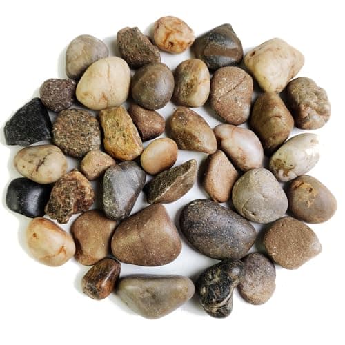 HappyFiller Decorative Natural Pebbles Polished Rocks Stones Mixed Color for Aquarium Gravel,Fish Turtle Tank,Outdoor Indoor Plants Top Dressing,Garden Landscaping,Home Vase Filler Decoration,2 LB - Image 1