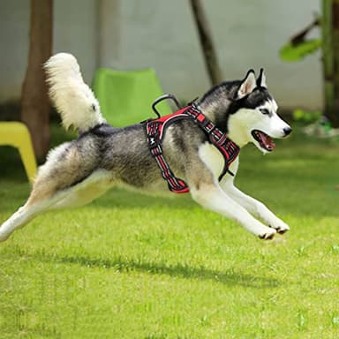 PoyPet No Pull Dog Harness, No Choke Front Clip Reflective Dog Vest with Soft Padded Vertical Handle, 3 Leash Attachments for Small Medium Large Dogs (Red,XL) - Image 3