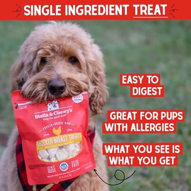 Stella & Chewy's Freeze-Dried Raw Chicken Breast Dog Treats - Single Ingredient, No Additives - Premium Training Treats - Perfect For Picky Eaters - 2.75oz Bag - Image 2