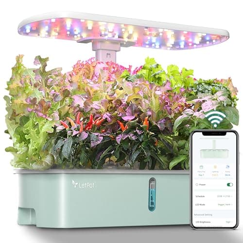 LetPot LPH-Air Hydroponics Growing System Kits, APP & WiFi Controlled Smart Indoor Garden with 24W Grow Light Full Spectrum, 10 Pods Planter Indoor Gardening for Gifts, Kitchen, Vegetable (Green) - Image 1