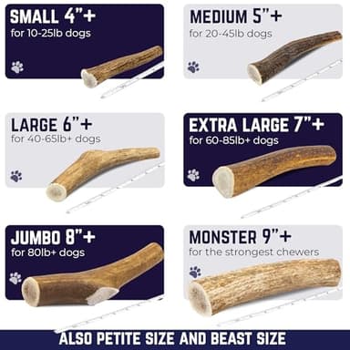 Devil Dog Pet Co. Elk Antlers for Dogs, Medium 5"+, 1 Pack, Grade A Long Lasting Chew for Aggressive Chewers, Premium USA Naturally Shed Antler – Healthy, No Odor, Durable Dog Chew - Image 8