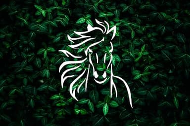 Horse Stencil – Reusable 5"x6" Plastic Template for DIY Painting, Airbrush, Scrapbooking, Drawing, and Crafts - Image 2
