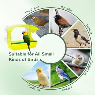 Window Bird Feeder with Strong Suction Cups, Durable Unique Transparent Yellow Acrylic, Perfect for Bird Watching, All-Weather Outdoor Use, Ideal Gift for Garden Outdoor Décor - Image 9