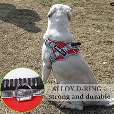 Dogmify Service Dog Vest,No Pull in Training Service Dog Harness and 5FT Dog Leash Set, Adjustable 3M Reflective Nylon Pet Dog Vest with Handle,Easy Control for Small Medium Large Dogs(L,Red) - Image 2