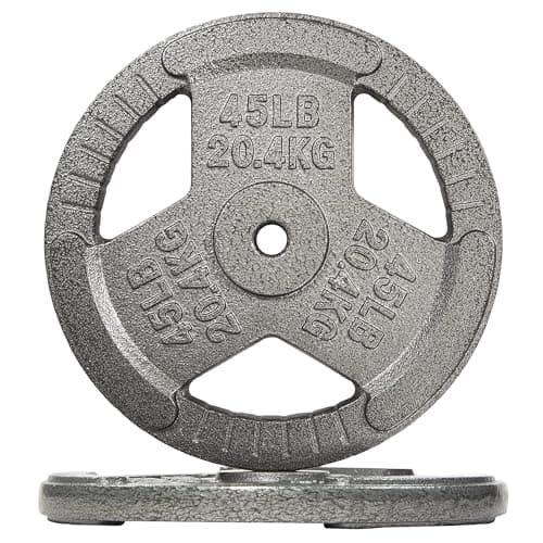Fitvids Cast Iron 1-Inch Standard Weight Plate for Strength Training & Weightlifting, Multiple Weights Available, 45LB (Pair) - Image 1