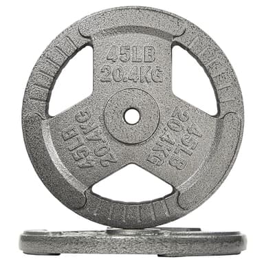 Fitvids Cast Iron 1-Inch Standard Weight Plate for Strength Training & Weightlifting, Multiple Weights Available, 45LB (Pair) - Image 1